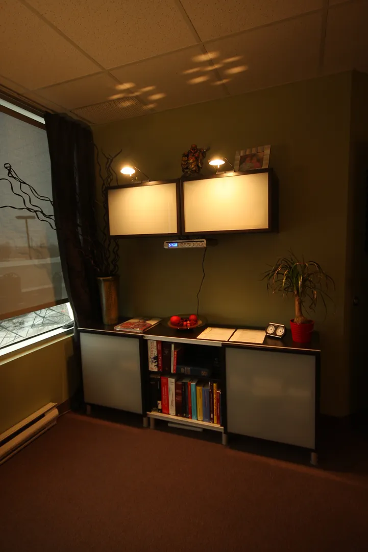 A corner of the office with books and plants